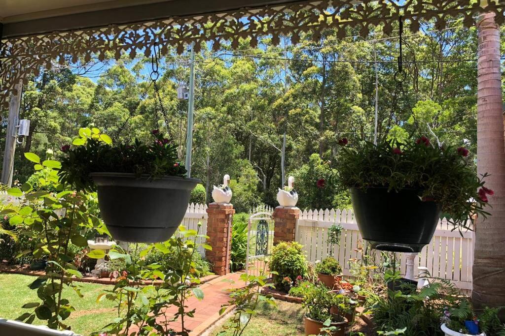 Mountain Living With Ocean Views Villa Mount Tamborine Eksteriør billede